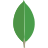 MongoDB Icon